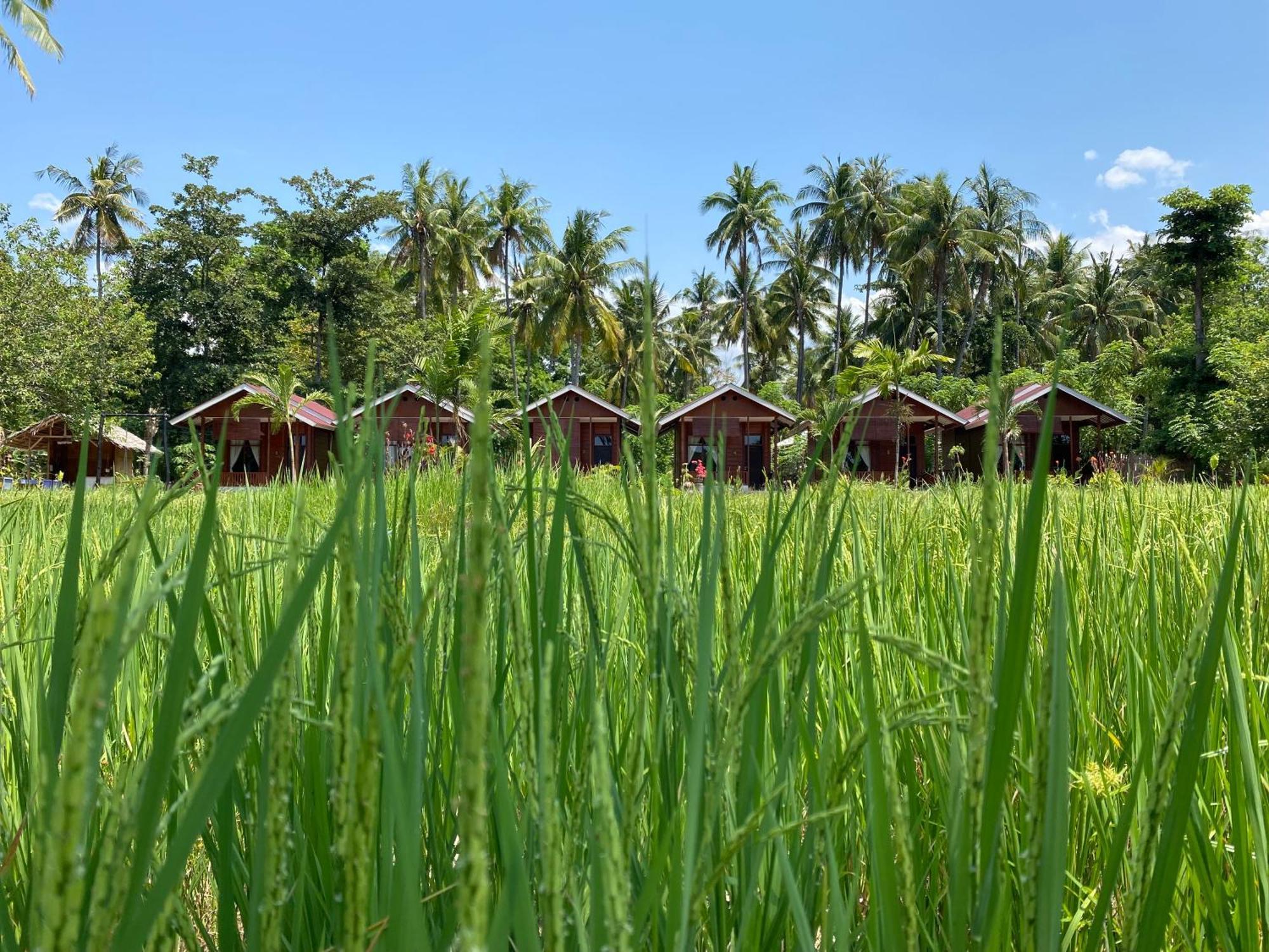 Nuna Bungalows Riung Exterior foto